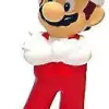 Budget 🎁 New Super Mario Bros Wii Mario PVC Figure [Fire] 🌟